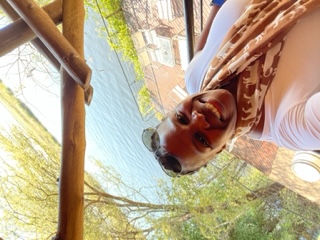 Dr. Matshediso Kgamane