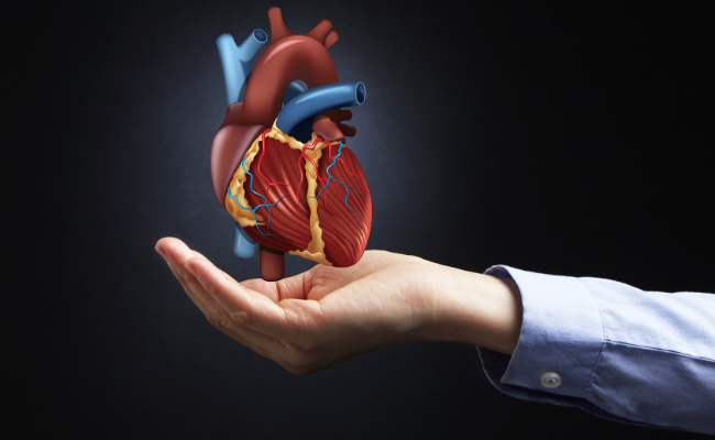 How to Treat Wolff Parkinson White Syndrome?