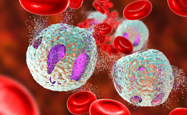 How to Treat Leukemia?