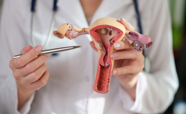 How to Treat Low Progesterone?