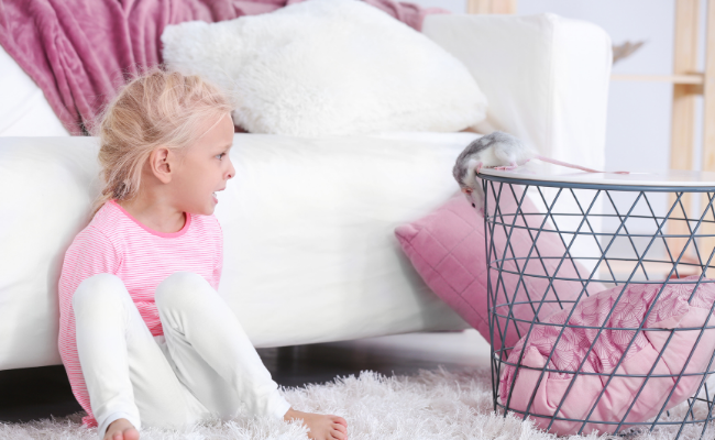 How to Treat Rat Bite?